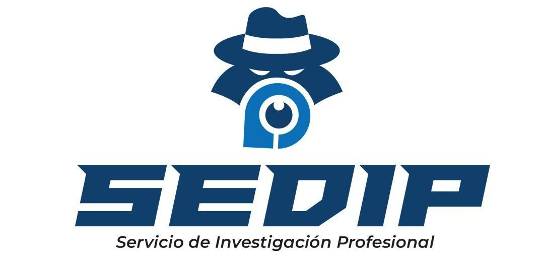 detectivesedip.com
